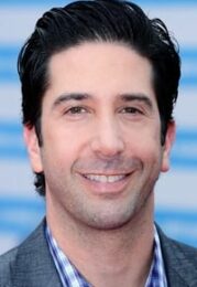 David Schwimmer