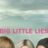 Big Little Lies : 2.Sezon 4.Bölüm izle