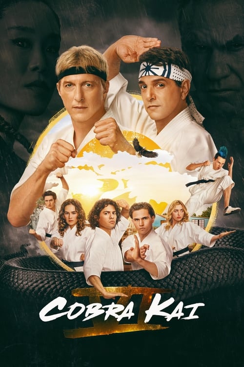 Cobra Kai : 5.Sezon 9.Bölüm