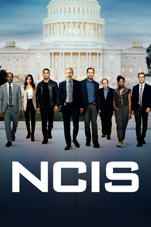 NCIS : 12.Sezon 15.Bölüm