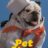 Pet Stars : 1.Sezon 1.Bölüm izle