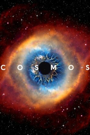 Cosmos