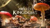 Hidden Kingdoms izle