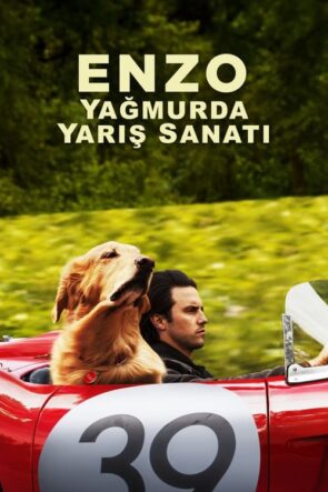 Enzo: Yağmurda Yarış Sanatı (2019)