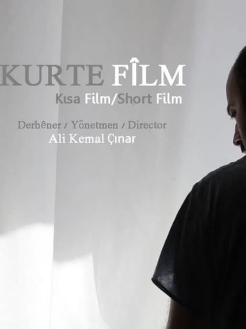 Kurte Fîlm (2013)