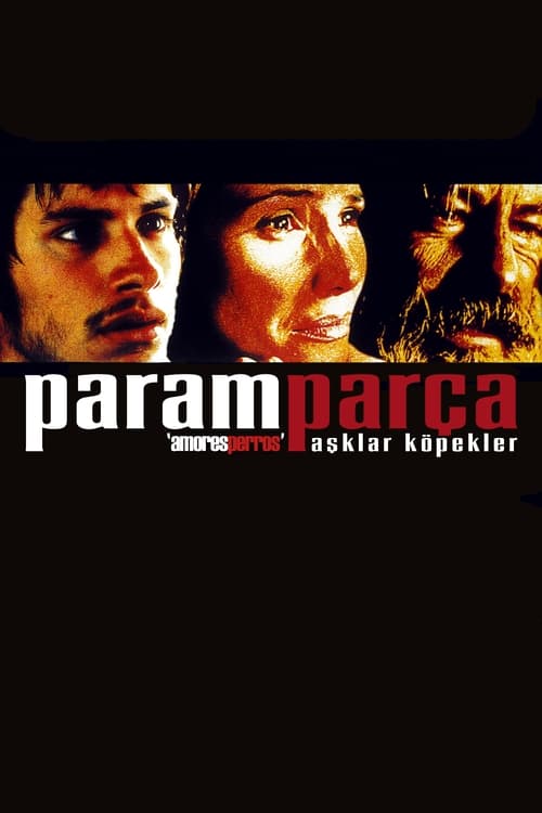 Paramparça Aşklar Köpekler (2000)