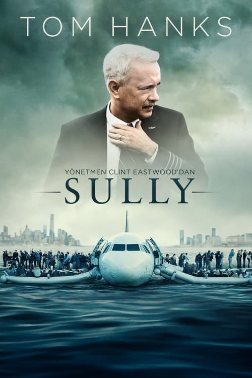 Sully (2016)